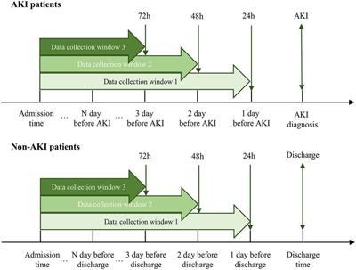 Prediction of acute kidney injury in patients with femoral neck fracture utilizing machine learning